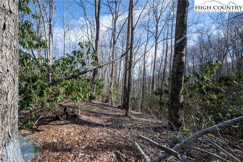 Photo of TBD Little Laurel Road, Boone, NC 28607 (MLS # 253912)