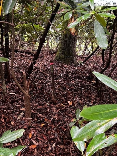 Photo of TBD Grandview Drive, Banner Elk, NC 28604 (MLS # 258824) Photo of TBD Grandview Drive, Banner Elk, NC 28604 (MLS # 258824)