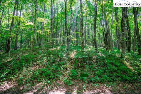 Photo of Lot 36 Marta Lane, Zionville, NC 28698 (MLS # 239358)