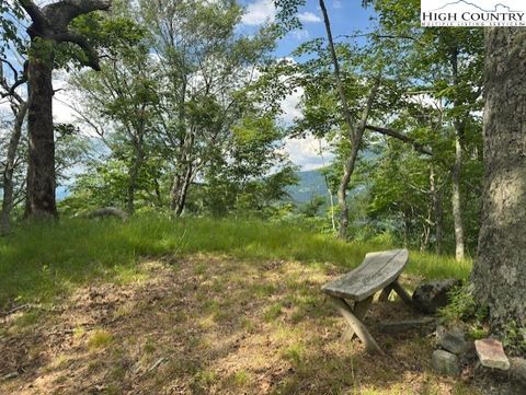 Photo of 796 Goat Mountain Road, Zionville, NC 28698 (MLS # 254919)