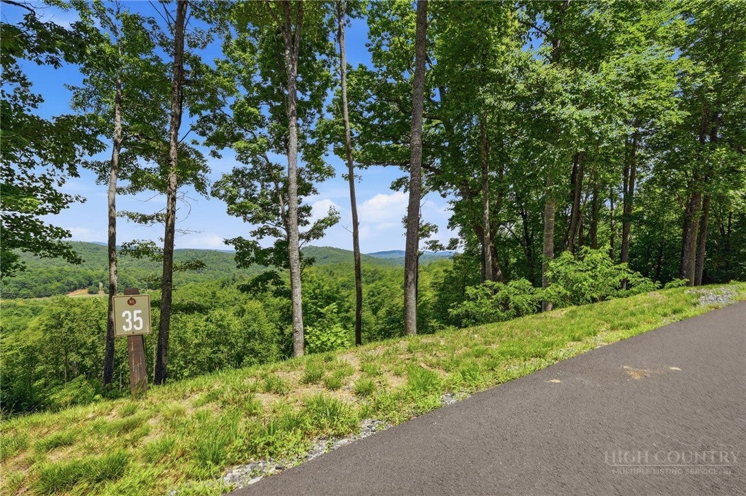 Lot 35 Wildcat Wilderness Parkway