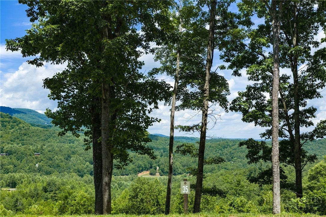 Lot 35 Wildcat Wilderness Parkway