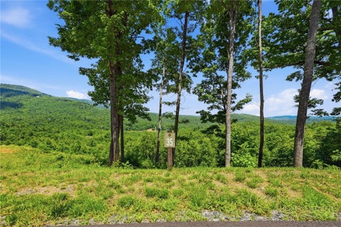 Photo of Lot 35 Wildcat Wilderness Parkway, Deep Gap, NC 28618 (MLS # 262139)