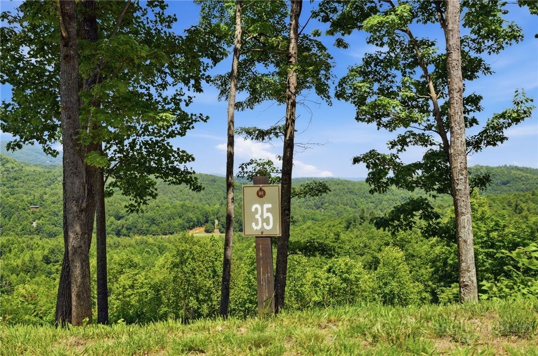 Lot 35 Wildcat Wilderness Parkway