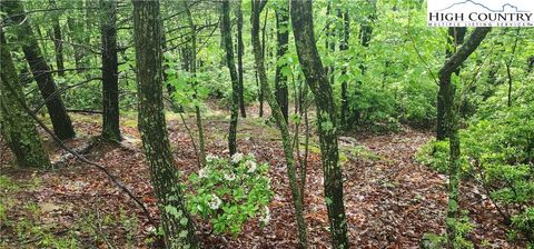 Photo of tbd Flat Mountain Road, Lenoir, NC 28605 (MLS # 257605)