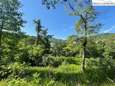 Vacant Land For Sale - LOT 4 Farm Valley Lane<br/> Boone, NC 28607