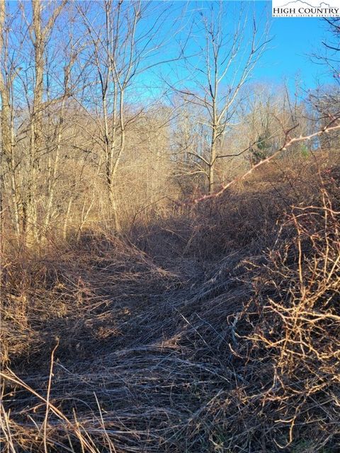 Vacant Land For Sale - LOT 7 Terra Vista Drive<br/> Laurel Springs, NC 28644