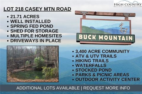 Photo of Lot 218 Casey Mountain Road, Purlear, NC 28665 (MLS # 259243)