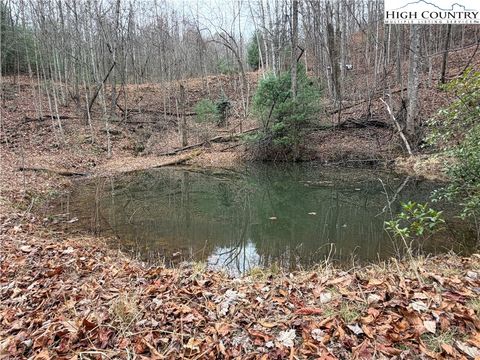 Photo of Lot 218 Casey Mountain Road, Purlear, NC 28665 (MLS # 259243)