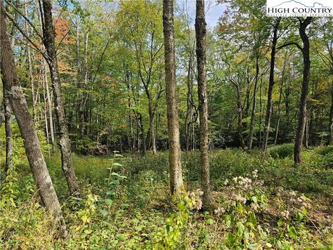 Photo of Lot 29 Lee Gualtney Road, Banner Elk, NC 28604 (MLS # 258479)
