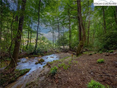 Photo of Lot 2 Wilderness Reserve Parkway, Deep Gap, NC 28618 (MLS # 251550)