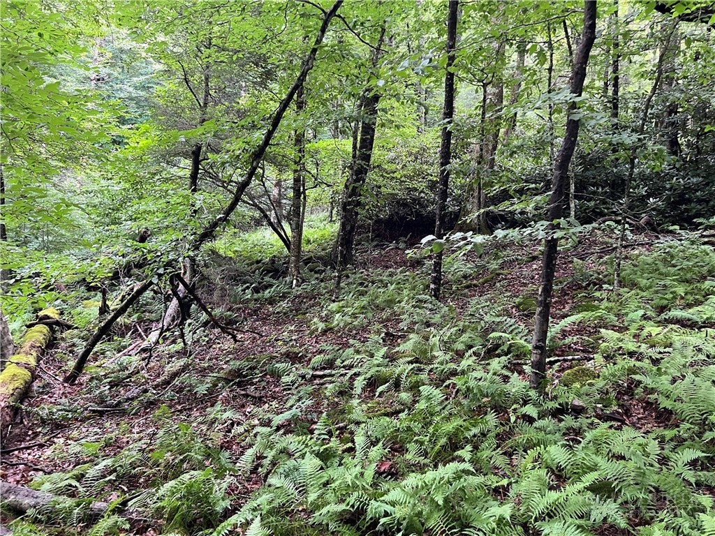 Lot 32 Piedra Road