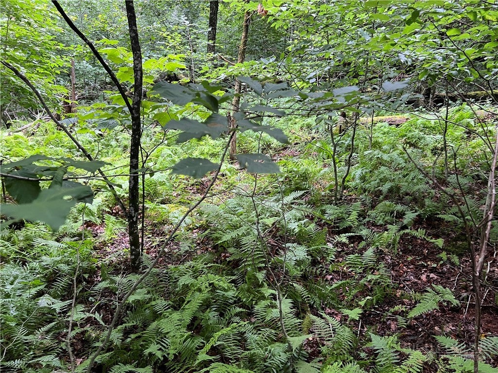 Lot 32 Piedra Road