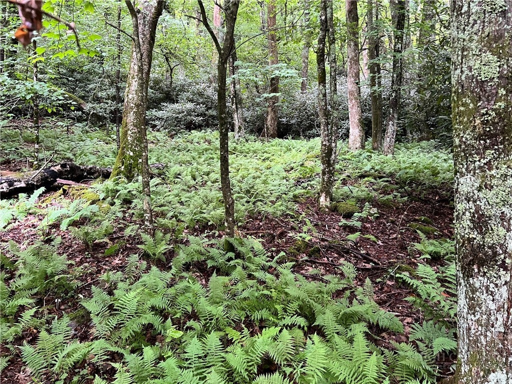 Lot 32 Piedra Road