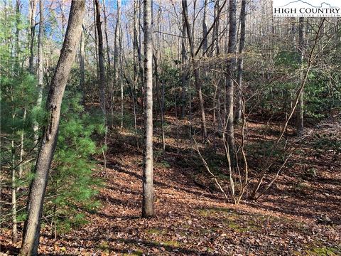 Photo of TBD (Lot 1) Dugger Firetower Road, Lenoir, NC 28645 (MLS # 253376)