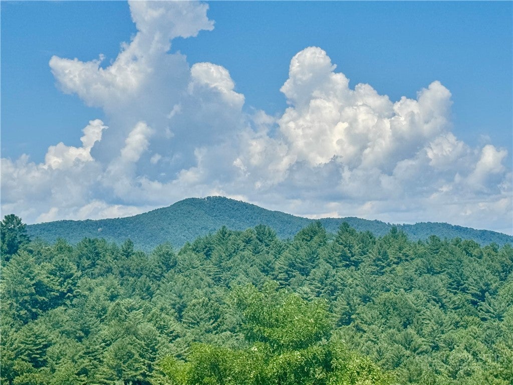 2.01 Acres, Lot G18 Thoroughbred Way