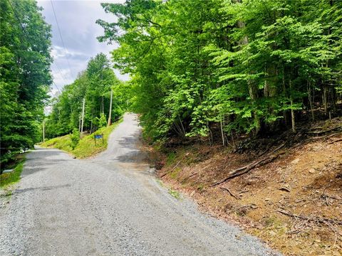 Photo of 136 Locust Ridge Road, Beech Mountain, NC 28604 (MLS # 262238)