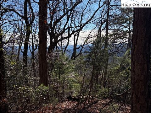 Photo of Lot 27 Bobcat Mountain Road, Purlear, NC 28665 (MLS # 259616)