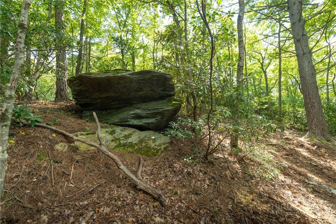 327 Lyreleaf Trail