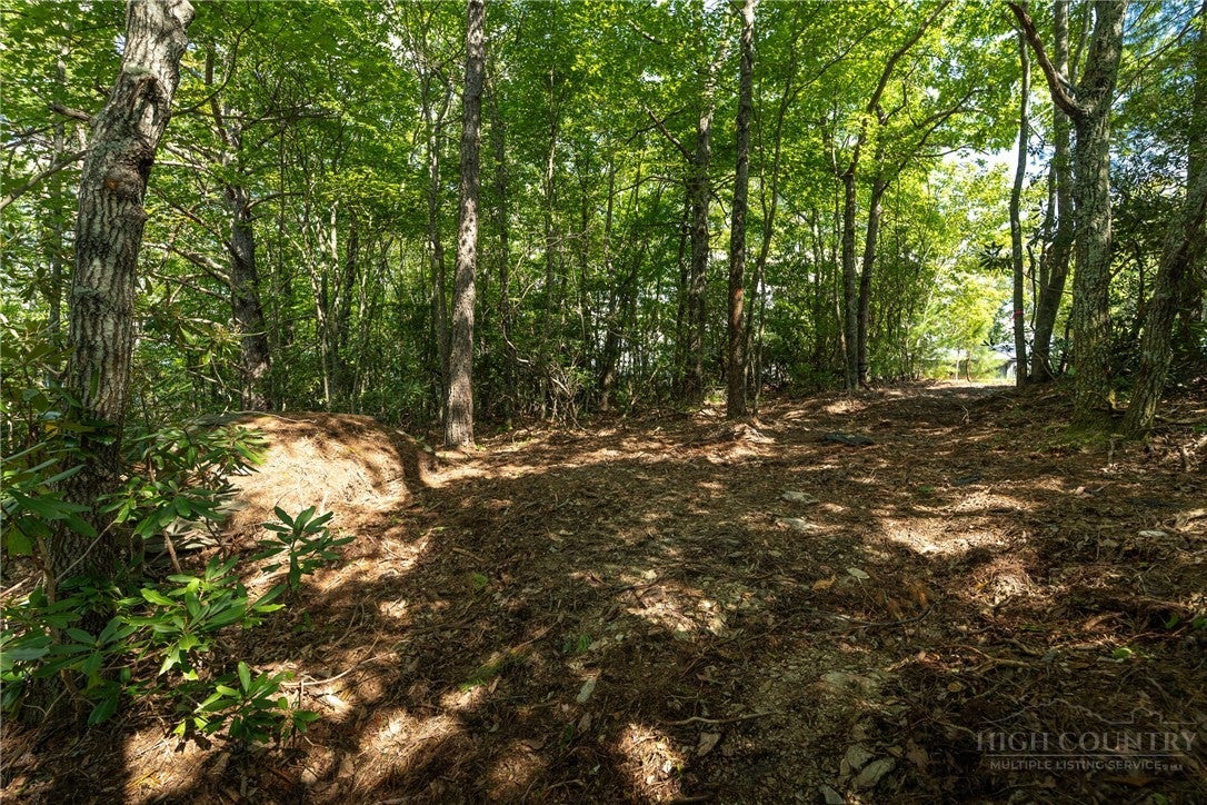 327 Lyreleaf Trail