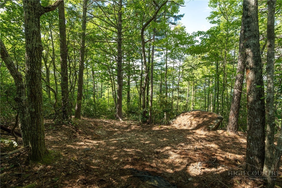 327 Lyreleaf Trail