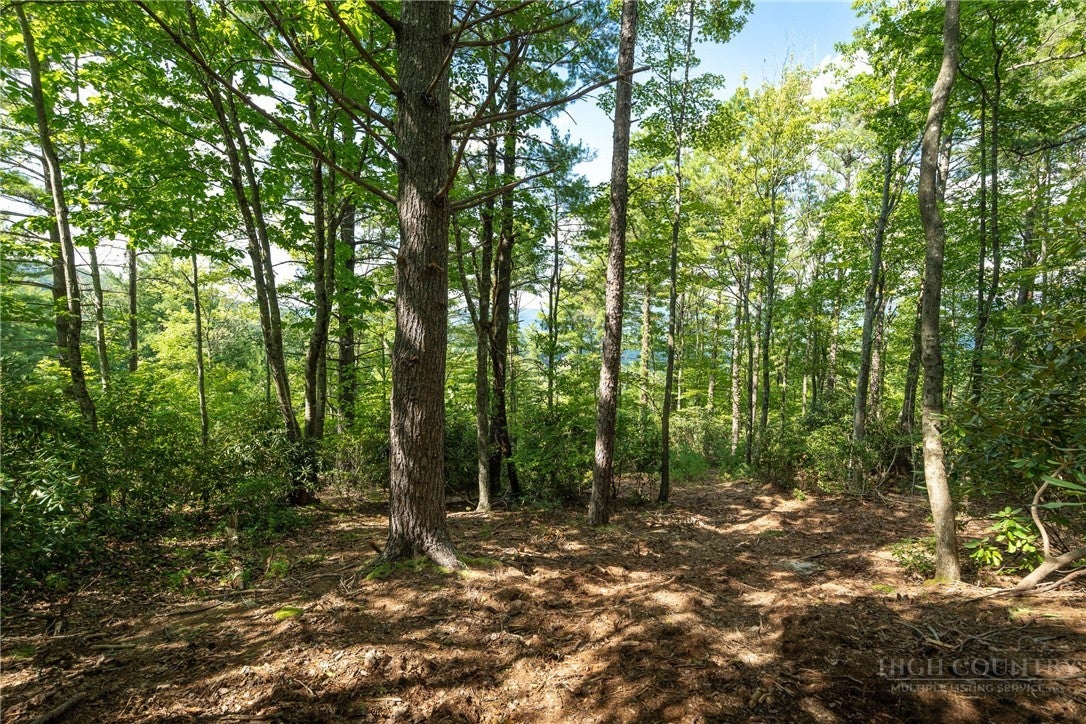 327 Lyreleaf Trail