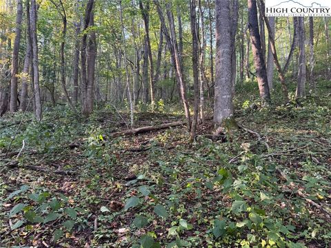 Photo of 3.59 acres Mulberry Cove Road, Boone, NC 28607 (MLS # 258336)
