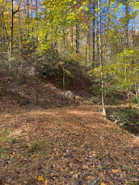 Photo of 78 Holleridge Road, Ferguson, NC 28624 (MLS # 264724)