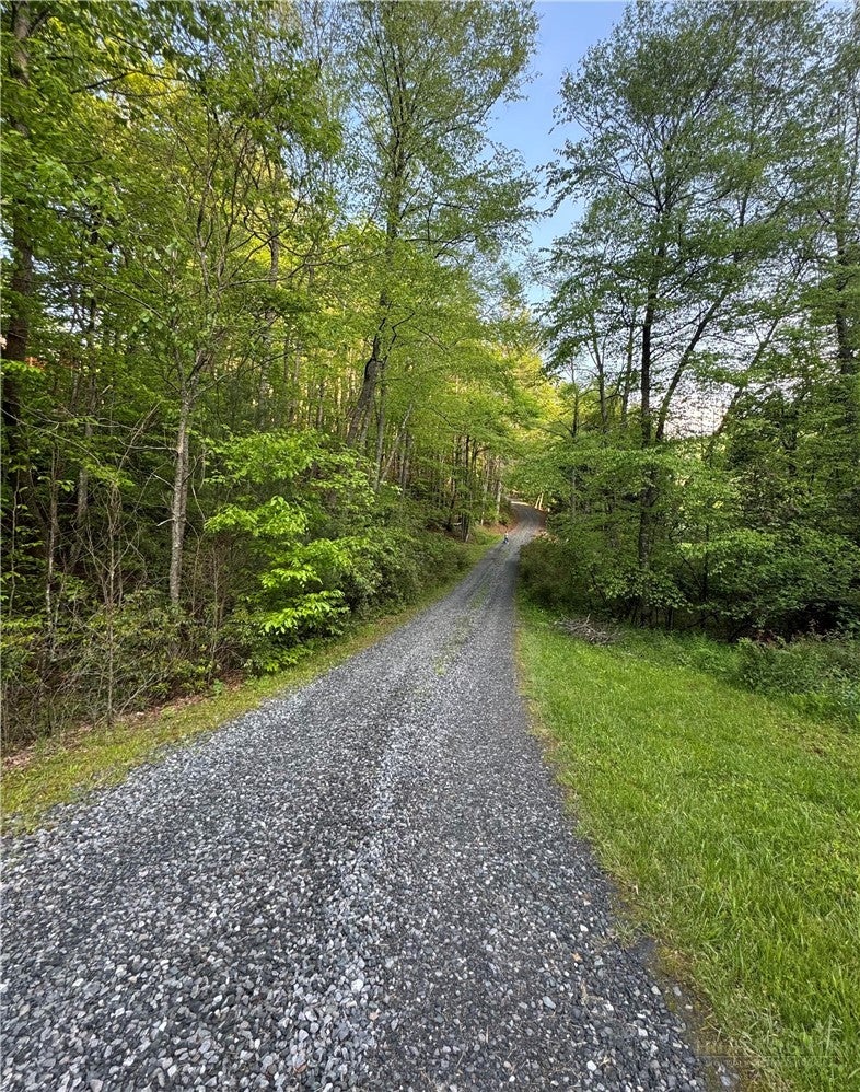 248 James F. Watson Rd