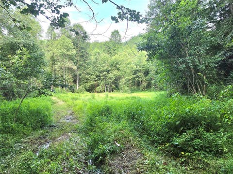 Photo of 0 Elk Creek Darby Road, Ferguson, NC 28624 (MLS # 255653)