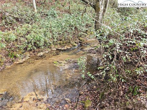 Photo of 0 Elk Creek Darby Road, Ferguson, NC 28624 (MLS # 255653)