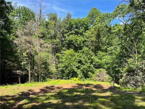 Photo of 156 Dragonfly Lane, Boone, NC 28607 (MLS # 262280)