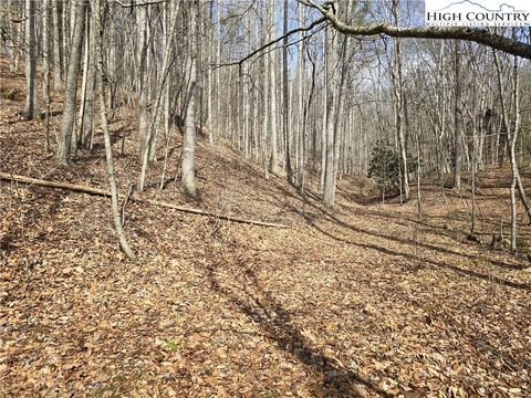 Vacant Land For Sale - TBD (LOTS 42 & 43) Happy Ridge Road<br/> Alleghany County, Piney Creek, NC 28663