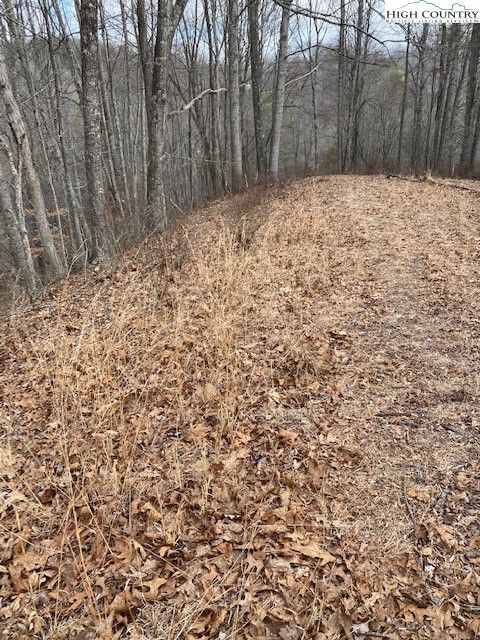 Photo of Lot 56 Happy Eden Drive, Piney Creek, NC 28663 (MLS # 259980)