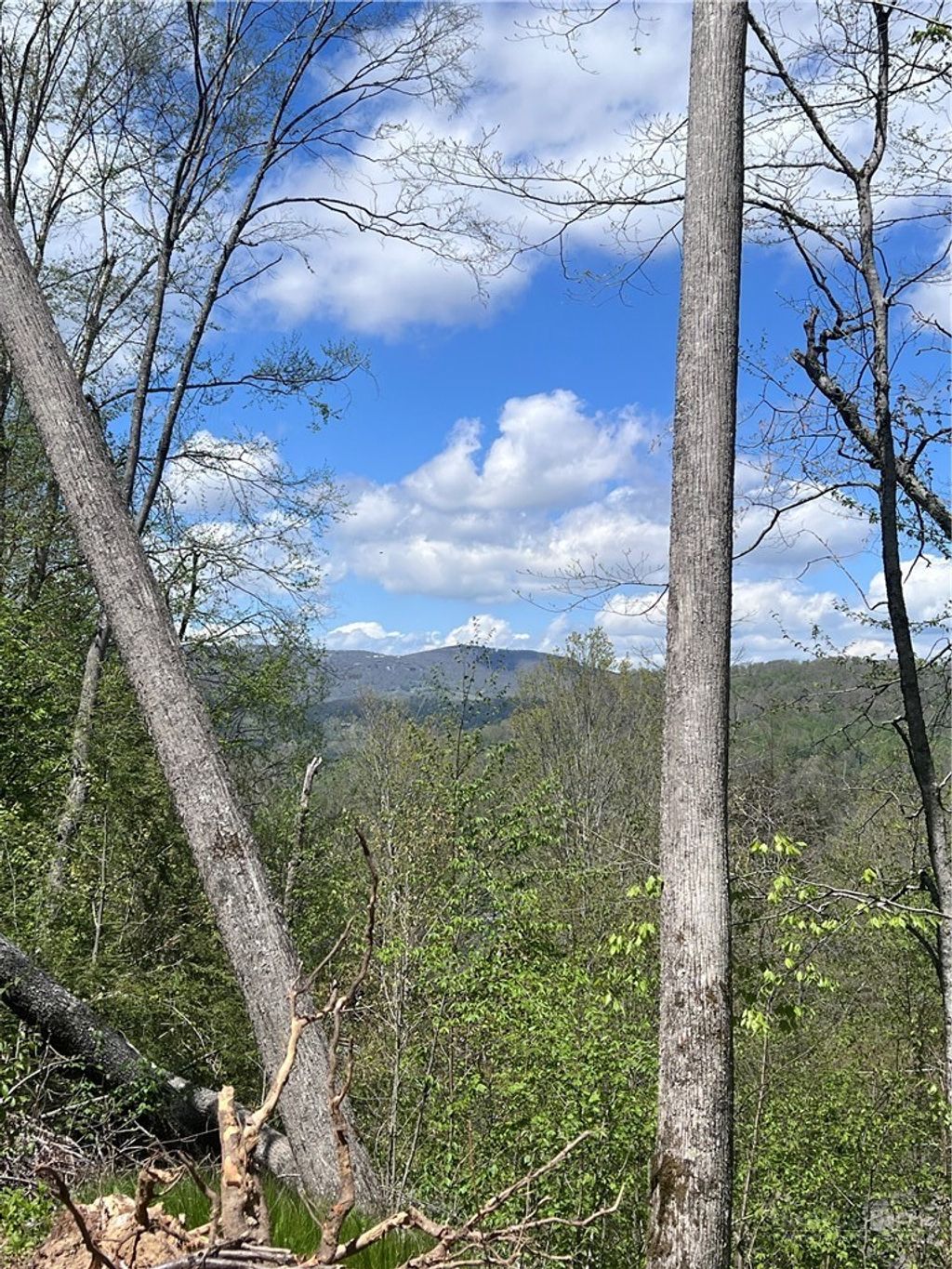 Photo of TBD Cross Park Drive, Banner Elk, NC 28604 (MLS # 262112)