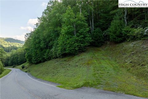 Photo of TBD Lot 108 Firethorn Trail, Blowing Rock, NC 28605 (MLS # 256383)