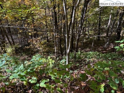 Photo of Lot 677 Three Top Trailhead Access Road, Creston, NC 28615 (MLS # 258685)