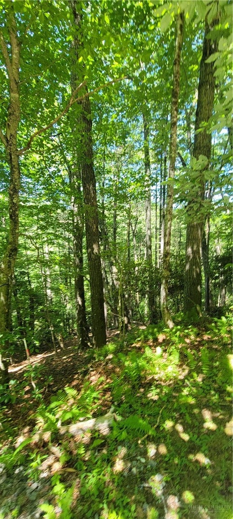 Photo of TBD River Front Ridge Drive, Jefferson, NC 28640 (MLS # 264288)