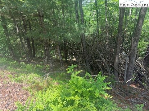 Vacant Land For Sale - TBD Deerwood Road #58<br/> Sparta, NC 28675