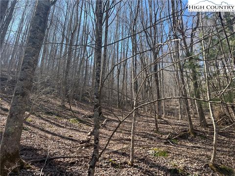 Photo of TBD Hart Road, Lansing, NC 28643 (MLS # 260106)