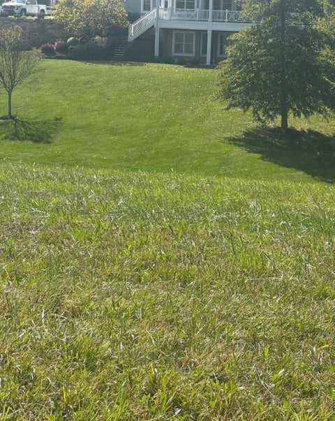 Photo of Lot 219 Canterbury Drive, North Wilkesboro, NC 28659 (MLS # 265073)