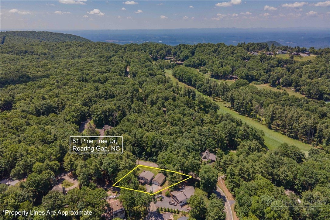 81 Pine Tree Drive