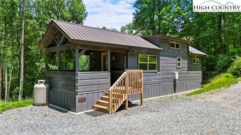 Photo of 165 John Dotson Road, Boone, NC 28607 (MLS # 256287)
