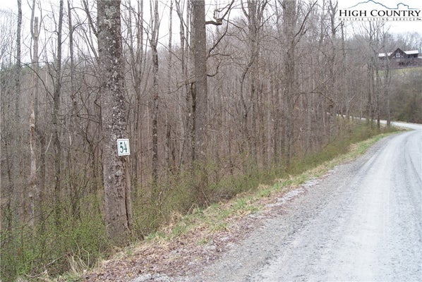 54 TOMS KNOB RD, SPARTA, NC 28675 - Image 8c9f4e986058d9e5e2a6e7e660011fcb/845440281