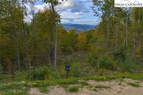 Photo of Lot 124 Tower Oaks Trail, Elk Park, NC 28622 (MLS # 258538)