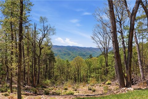 Photo of Lot 102 Angelfire Trail, Deep Gap, NC 28618 (MLS # 261425)