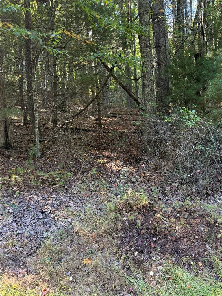 TBD Westwood Drive