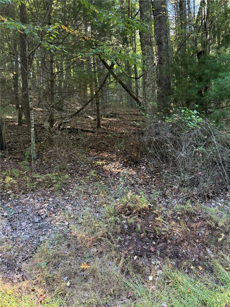 TBD Westwood Drive