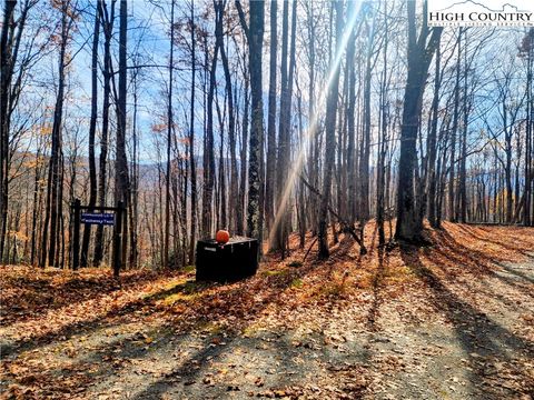 Photo of 201 Sourwood Lane, Beech Mountain, NC 28604 (MLS # 258989)