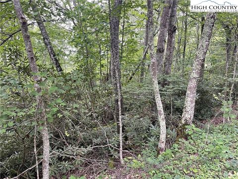 Photo of TBD Snow Ridge Road, Banner Elk, NC 28604 (MLS # 257266) Photo of TBD Snow Ridge Road, Banner Elk, NC 28604 (MLS # 257266)